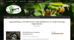Desktop Screenshot of forum-pridnestrovie.info